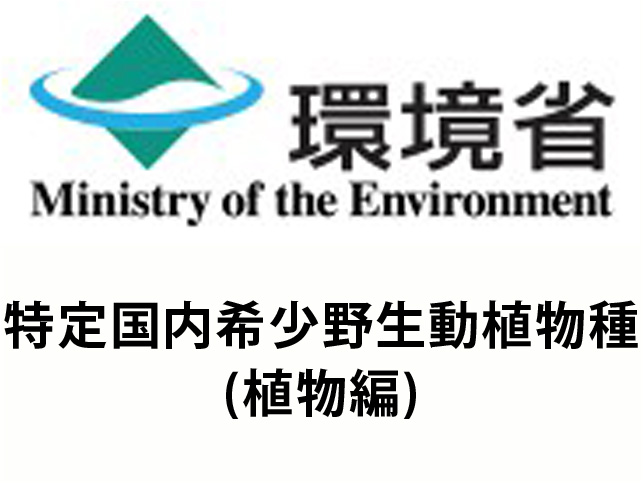 特定国内希少野生動植物種