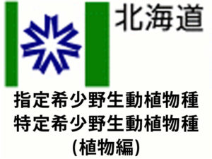 北海道の指定希少野生動植物種と特定希少野生動植物種(植物編)