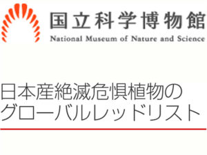 日本産絶滅危惧植物のグローバルレッドリスト